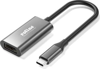 Roline Type C - DisplayPort Cableadapter