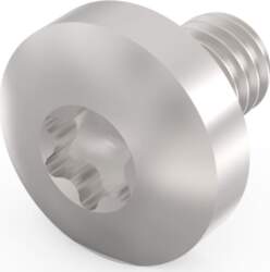 Schroff Panhead Screw, Torx, GND Function