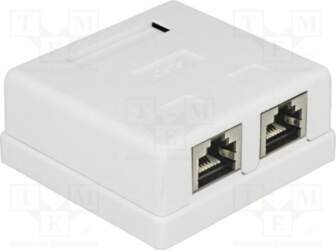Wall socket; white; RJ45 socket x2