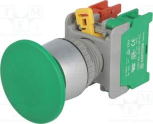 AUSPICIOUS Switch: push-button; 22mm; Stabl.pos: