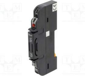 AUTONICS Relay: solid state; Ucntrl: 24VDC