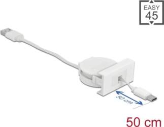 Delock Easy 45 Module USB 2