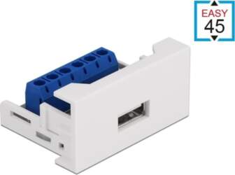Delock Easy 45 Module USB 2