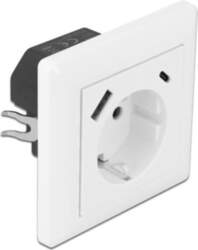 Delock Wall Socket with two USB
