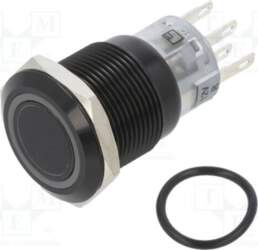 E-SWITCH Switch: vandal resistant; Pos: 2