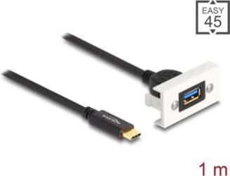 Delock Easy 45 Module SuperSpeed USB