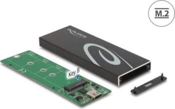 Delock External Enclosure for M.2