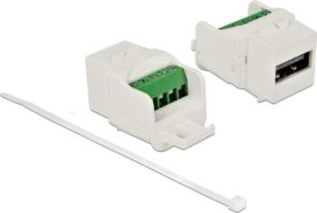 Delock Keystone module USB 2.0