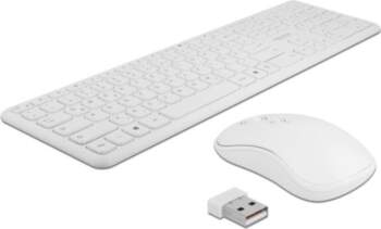 Delock USB Keyboard and Mouse Set