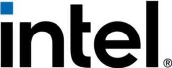 INTEL Processor 300 3.9GHz LGA1700