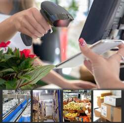 Qoltec 50856 Wireless barcode scanner 1D