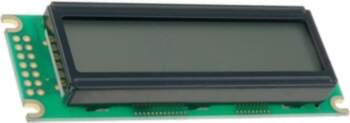 RAYSTAR OPTRONICS Display: LCD; alphanumeric; FSTN