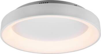 Trio Girona LED Ceiling Light, 60