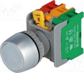 AUSPICIOUS Switch: push-button; 22mm; Stabl.pos: