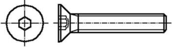 BOSSARD Screw; M6; M6x18; 1; Head: