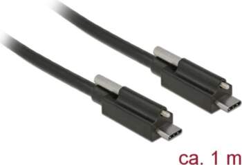 Delock Cable SuperSpeed USB 10 Gbps