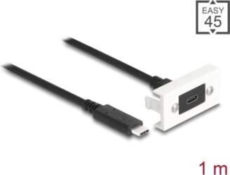 Delock Easy 45 Module SuperSpeed USB