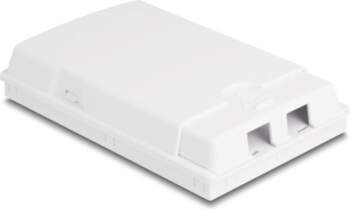Delock Optical Fiber Connection Box for