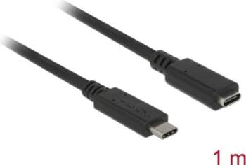 Delock USB 10 Gbps Extension Cable