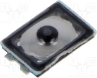 E-SWITCH Microswitch TACT; SPST; Pos: 2