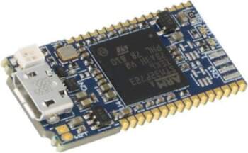 STMICROELECTRONICS Programmer: microcontrollers; STM32; USB; USB