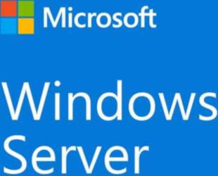 MICROSOFT Windows Server CAL 2022 Client