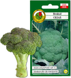 PNOS Caesar Broccoli Vegetable Seeds, 2g