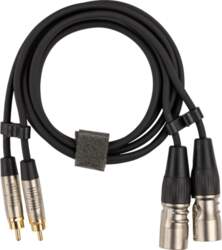 Fuj:tech 2 x RCA male –