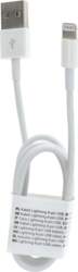 USB Cable A to Lightning C601