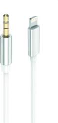 2GO AUX/MP3 audio cable for Lightning