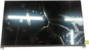 Dell ASSY LCD, Non Touch Screen