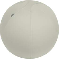 LEITZ stability ball with weighted ring