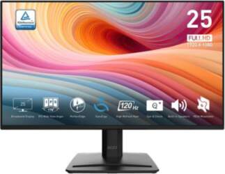 MSI Pro MP252 E2 computer monitor