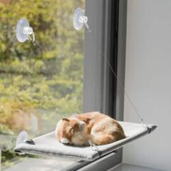 Trixie Pet bed - Window platform