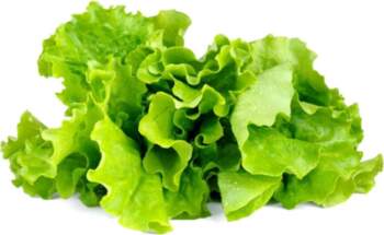 Click And Grow Click  AND  Grow