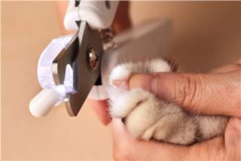 PETKIT | LED Light Nail Clipper