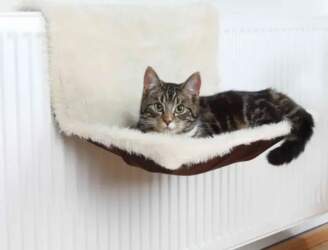 Trixie Cat Bed - Radiator Bed