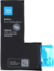 Blue Star Battery without BMS for