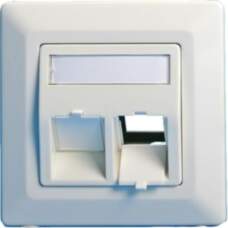 Lanview Wall plate, angled, double  outlet