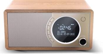 SHARP | Digital Radio | DR-450(BR)