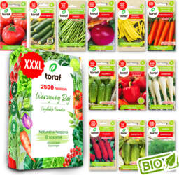 TORAF Vegetable Seed Set – 12