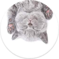 Popsockets Cat Nap Passive holder, E-book