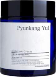 Pyunkang Yul Basic Day Cream 100ml
