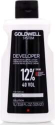 GOLDWELL Systems Developer 1000 ml 40