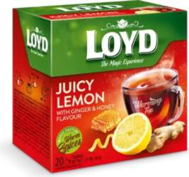 Loyd Herbal tea Pyramids with a