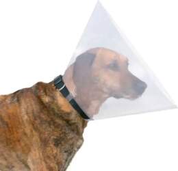 Trixie Postoperative collar - Protective collar