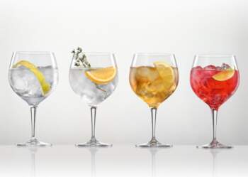 Spiegelau With your Gin  AND  Tonic