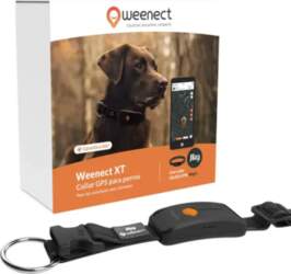 Weenect Mini GPS tracker for large