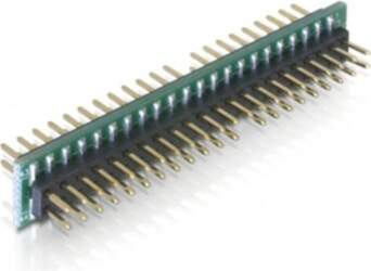 Delock IDE Adapter 44Pin - IDE
