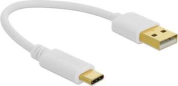 Delock USB Type-A to USB Type-C